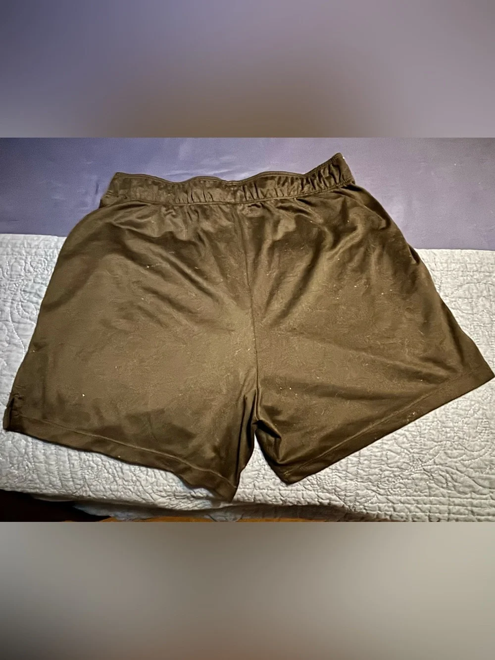 Nike lightweight shorts